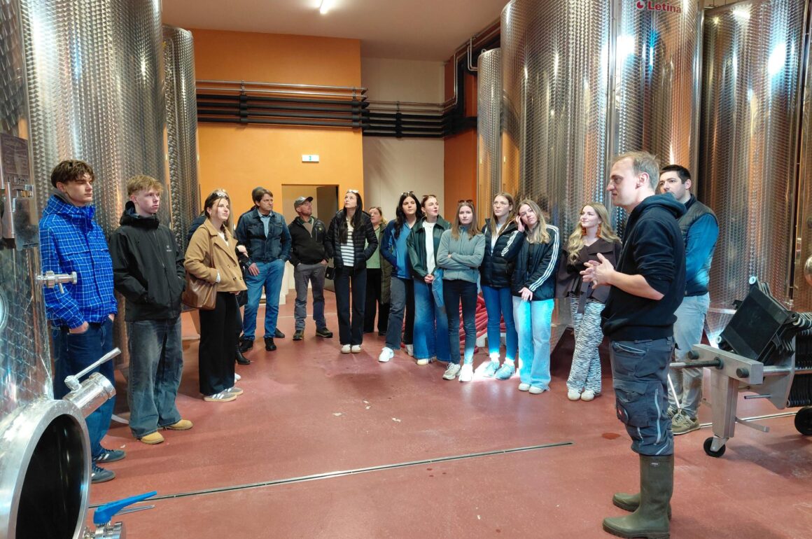 Weinexkursion_Taggenbrunn_Georgium HLW Spittal Weinexkursion nach Taggenbrunn und zum Georgium