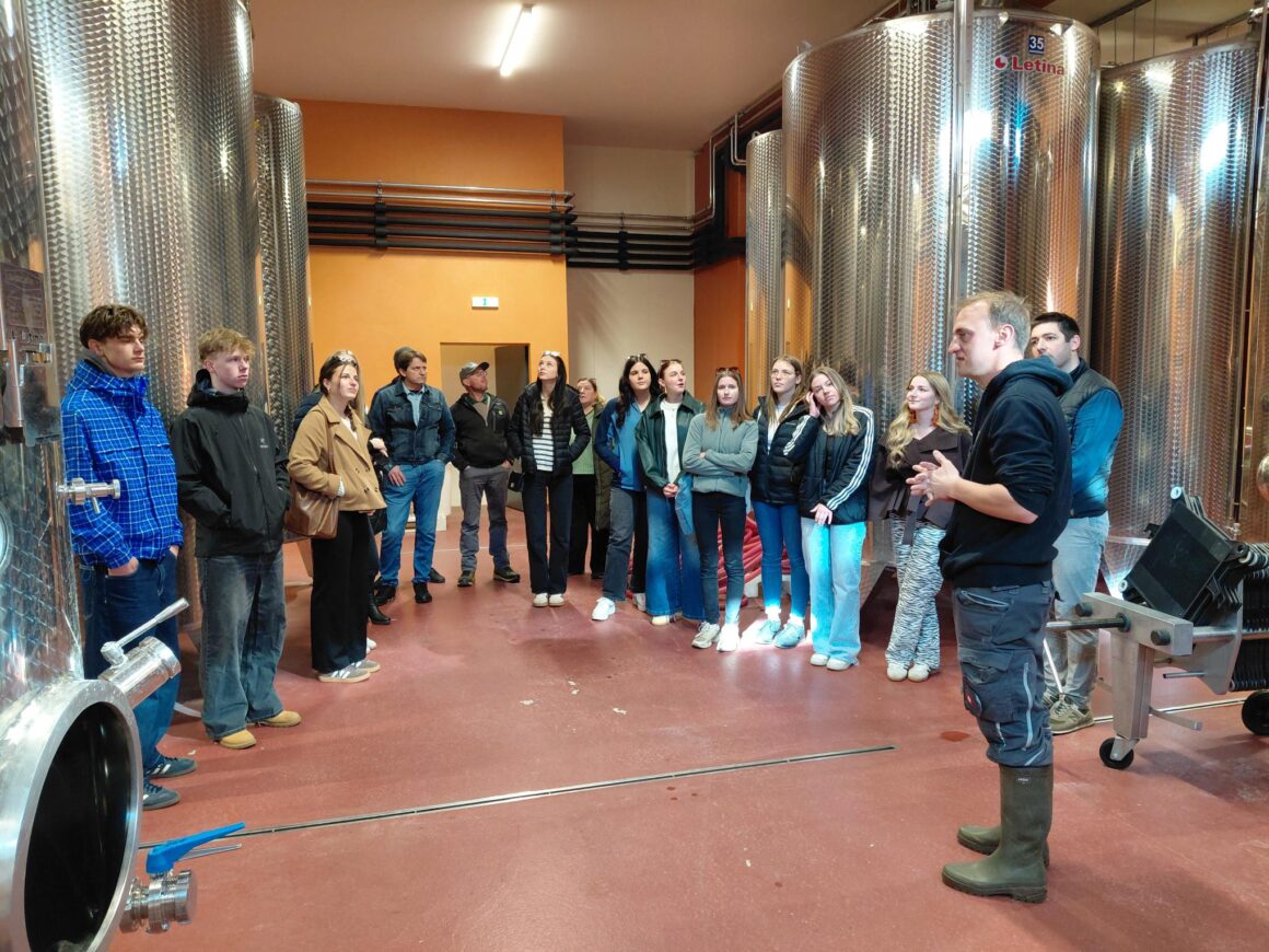 HLW Spittal Weinexkursion nach Taggenbrunn und zum Georgium