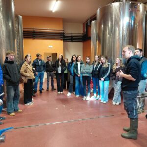 HLW Spittal Weinexkursion nach Taggenbrunn und zum Georgium